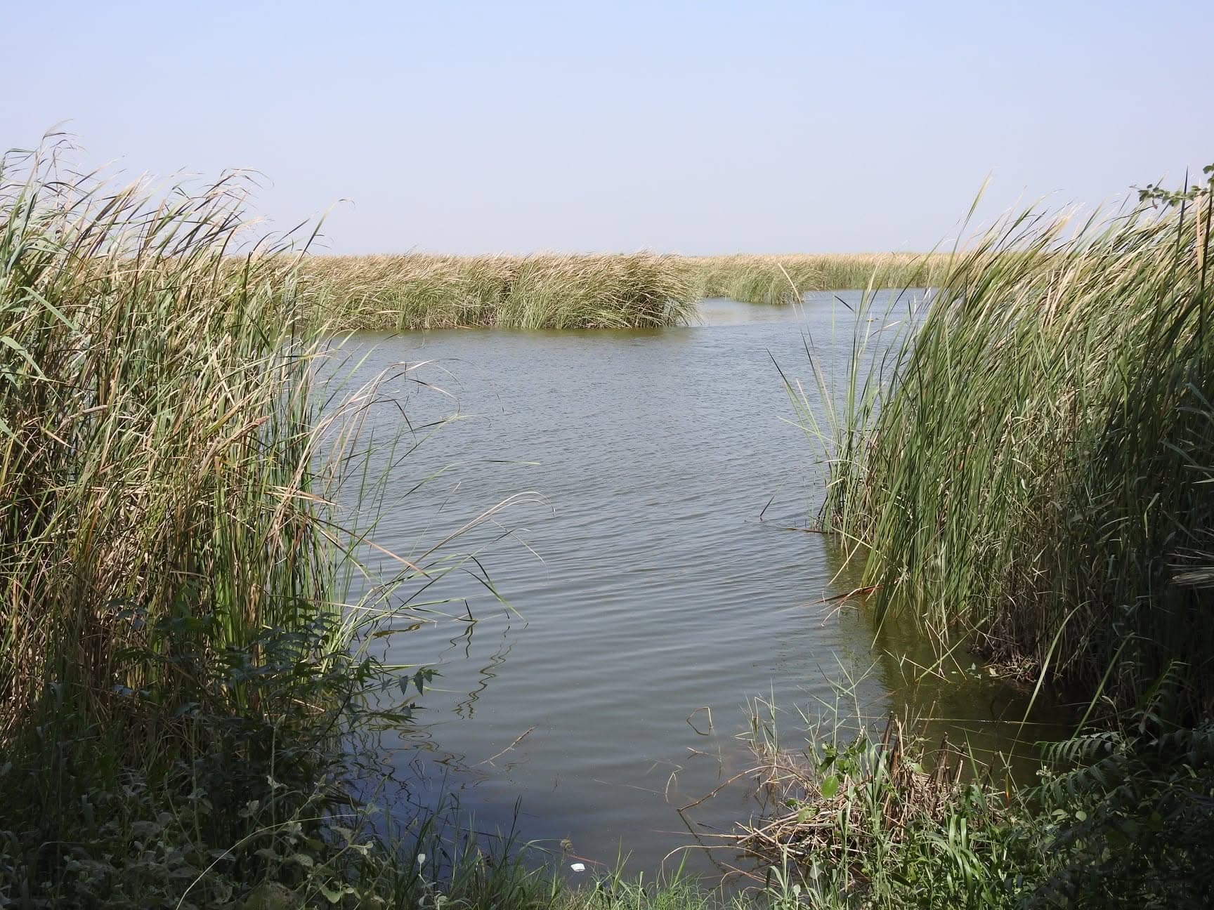 Indus Delta