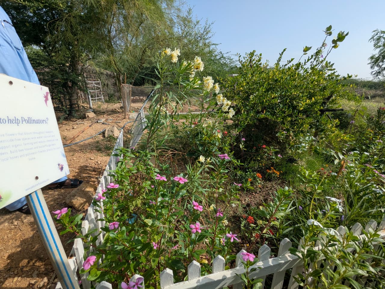 Community Reserve Zone, Jhimpir
