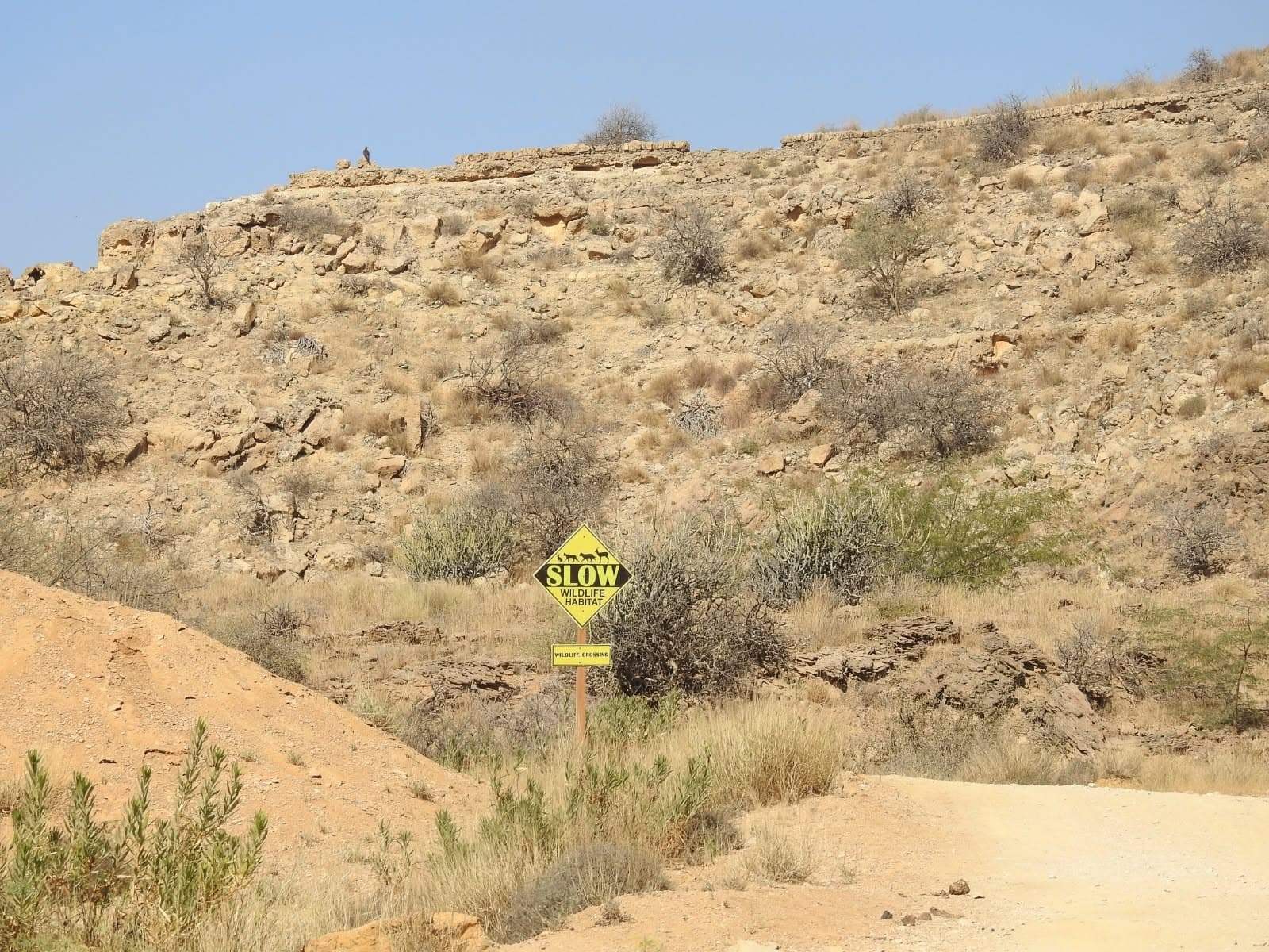 Kirthar National Park